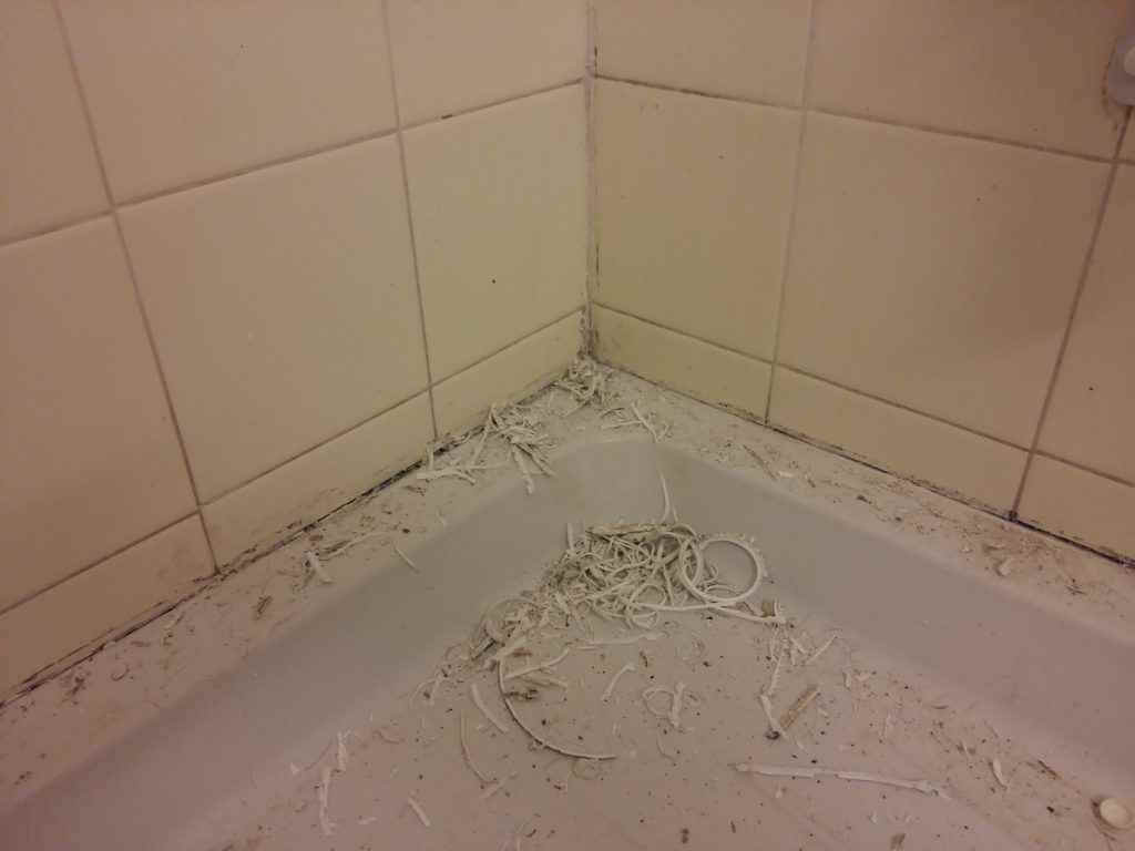 Rotten caulking being removed from wall joint and shower tray