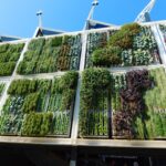 Vertical gardens